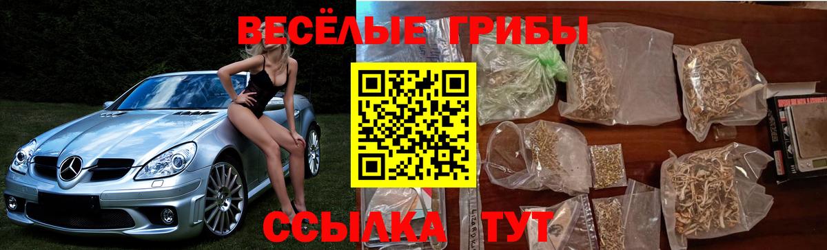 Псилоцибиновые грибы Psilocybine cubensis  Псилоцибиновые грибы GOLDEN TEACHER  где купить наркотик  Кстово  Вход с VPN 